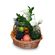 Caprice. Freshest flowers and finest exotic fruits nicely arranged in a basket.